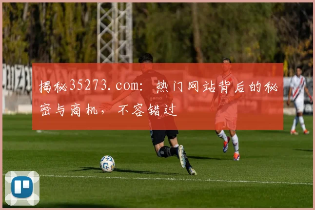 揭秘35273.com：热门网站背后的秘密与商机，不容错过