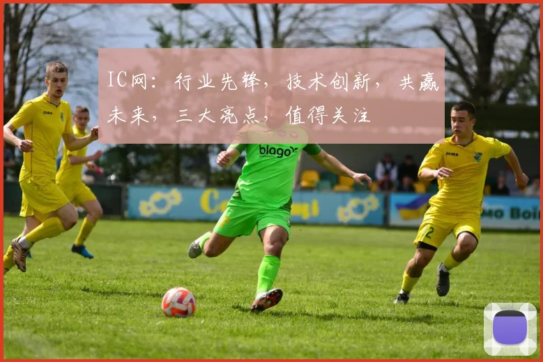 IC网：行业先锋，技术创新，共赢未来，三大亮点，值得关注